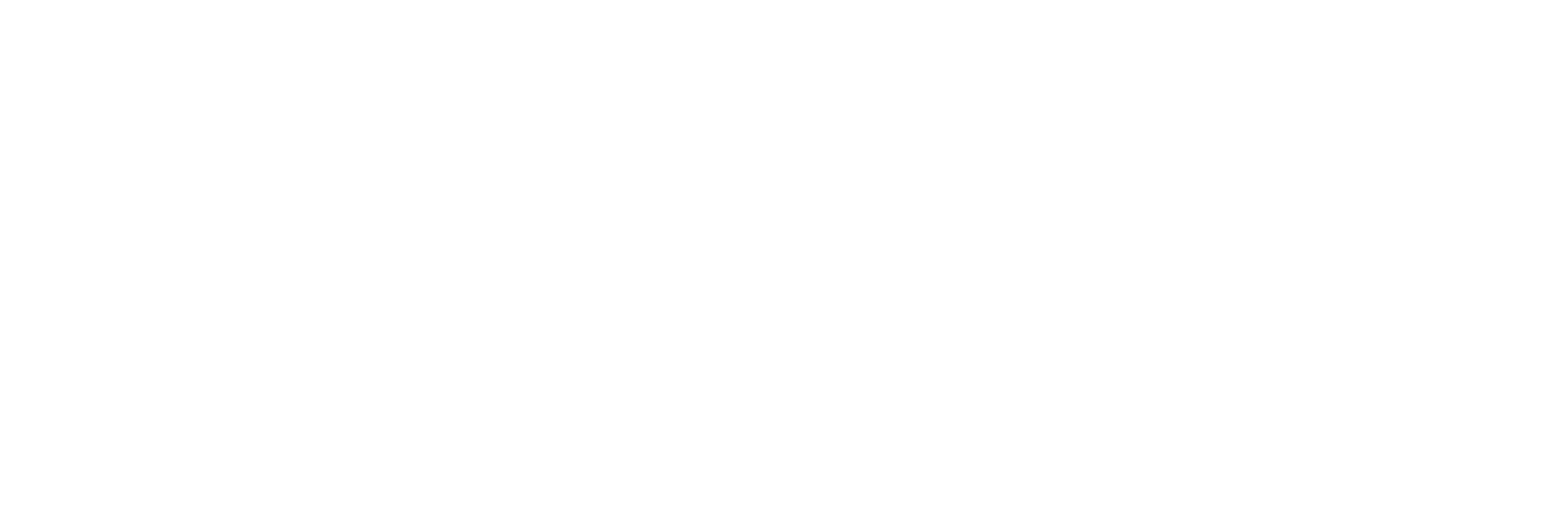 EvKirchePfalz-Logo-Quer-RGB-white